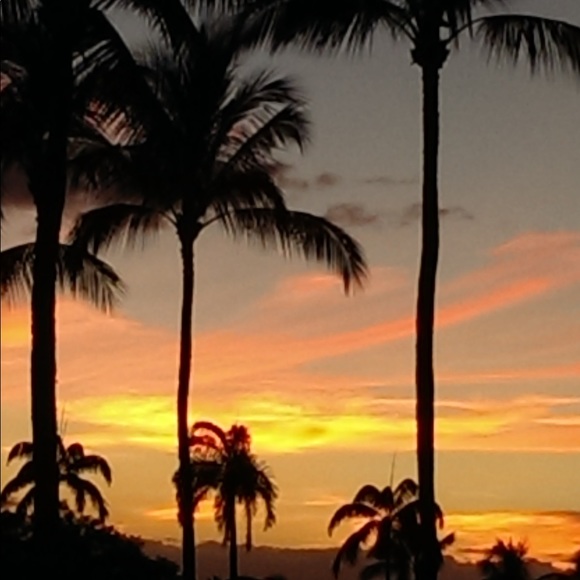 Meet your Posher, Pam - Picture 6 of 12